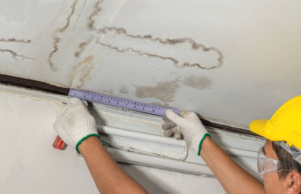 Reliable Mold Remediation contractor in Weaverville, NC by Water Damage Irwin